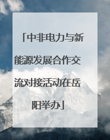 中非电力与新能源发展合作交流对接活动在岳阳举办