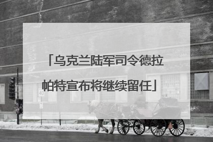 乌克兰陆军司令德拉帕特宣布将继续留任
