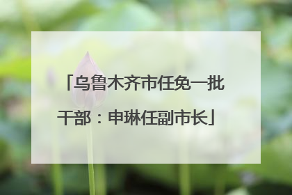 乌鲁木齐市任免一批干部：申琳任副市长