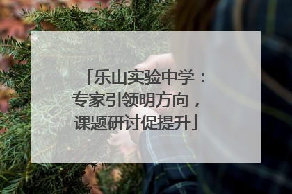 乐山实验中学：专家引领明方向，课题研讨促提升