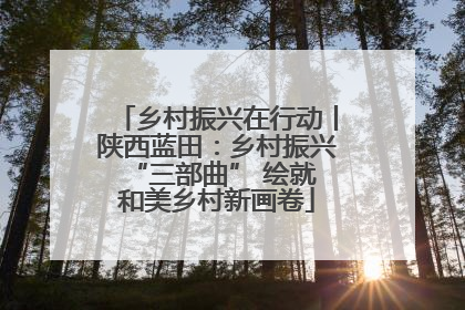 乡村振兴在行动丨陕西蓝田：乡村振兴 “三部曲” 绘就和美乡村新画卷