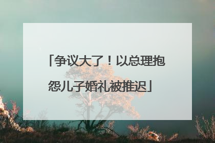 争议大了！以总理抱怨儿子婚礼被推迟