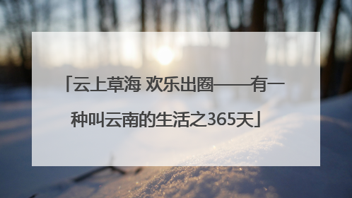 云上草海 欢乐出圈——有一种叫云南的生活之365天
