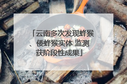 云南多次发现蜂猴、倭蜂猴实体 监测获阶段性成果