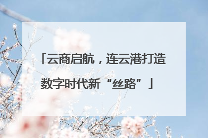 云商启航，连云港打造数字时代新“丝路”