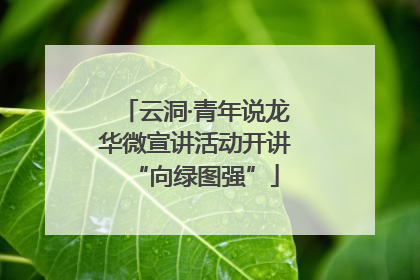 云洞·青年说龙华微宣讲活动开讲“向绿图强”