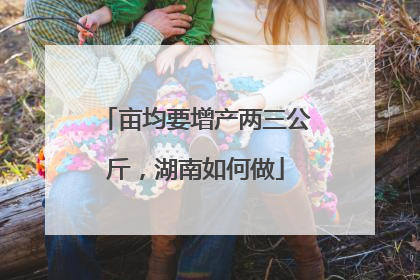 亩均要增产两三公斤，湖南如何做