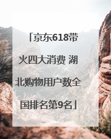 京东618带火四大消费 湖北购物用户数全国排名第9名