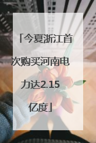今夏浙江首次购买河南电力达2.15亿度