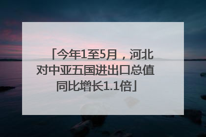 今年1至5月，河北对中亚五国进出口总值同比增长1.1倍