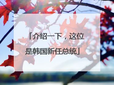介绍一下，这位是韩国新任总统