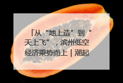 从“地上造”到“天上飞”，滨州低空经济乘势而上｜潮起渤海・网聚黄蓝