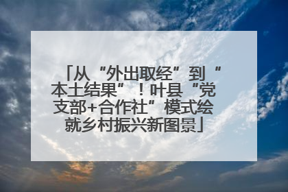 从“外出取经”到“本土结果”！叶县“党支部+合作社”模式绘就乡村振兴新图景