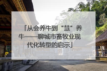从会养牛到“慧”养牛——聊城市畜牧业现代化转型的启示