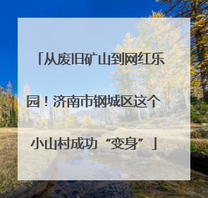 从废旧矿山到网红乐园！济南市钢城区这个小山村成功“变身”