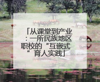 从课堂到产业：一所民族地区职校的“互嵌式”育人实践