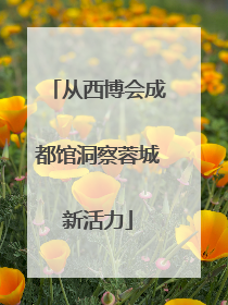 从西博会成都馆洞察蓉城新活力
