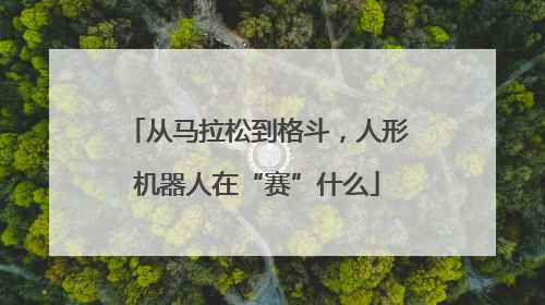 从马拉松到格斗，人形机器人在“赛”什么