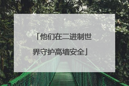 他们在二进制世界守护高墙安全