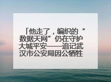 他走了，编织的“数据天网”仍在守护大城平安——追记武汉市公安局因公牺牲民警万松