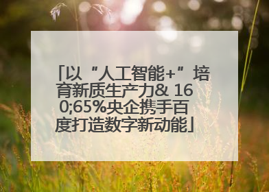 以“人工智能+”培育新质生产力& 160;65%央企携手百度打造数字新动能