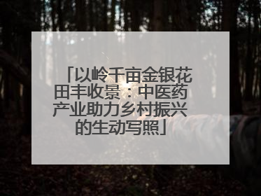 以岭千亩金银花田丰收景：中医药产业助力乡村振兴的生动写照
