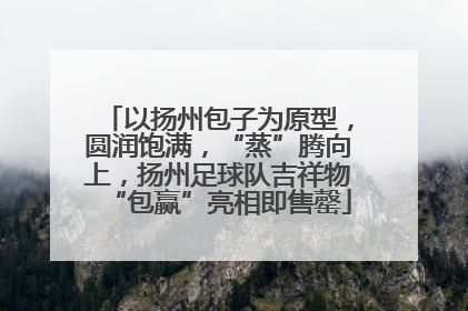 以扬州包子为原型，圆润饱满，“蒸”腾向上，扬州足球队吉祥物“包赢”亮相即售罄