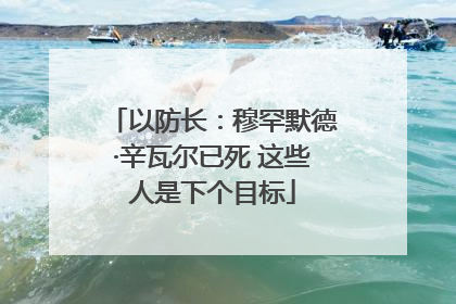 以防长：穆罕默德·辛瓦尔已死 这些人是下个目标