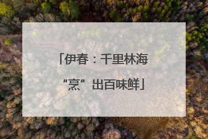 伊春：千里林海“烹”出百味鲜