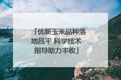 优新玉米品种落地昌平 科学技术指导助力丰收