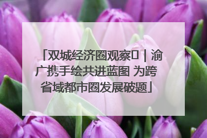 双城经济圈观察㊺｜渝广携手绘共进蓝图 为跨省域都市圈发展破题