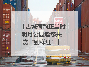 古城荷韵正当时 明月公园邀您共赏“别样红”