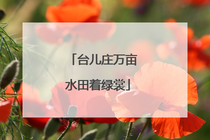 台儿庄万亩水田着绿裳