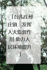 台儿庄邳庄镇：发挥人大监督作用 助力人居环境提升
