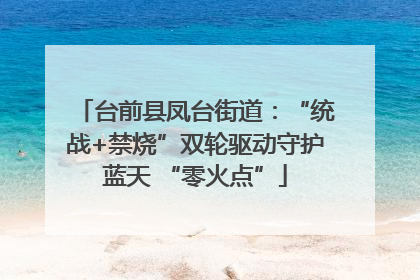 台前县凤台街道：“统战+禁烧”双轮驱动守护蓝天 “零火点”