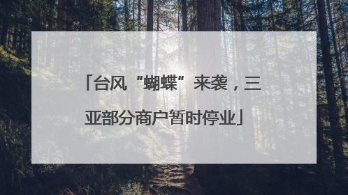 台风“蝴蝶”来袭，三亚部分商户暂时停业