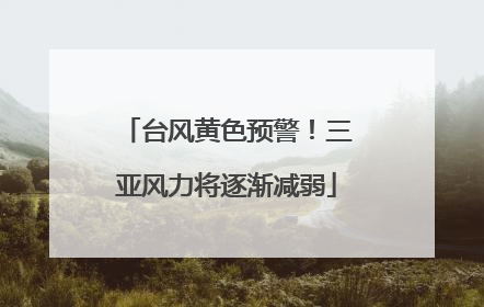 台风黄色预警！三亚风力将逐渐减弱