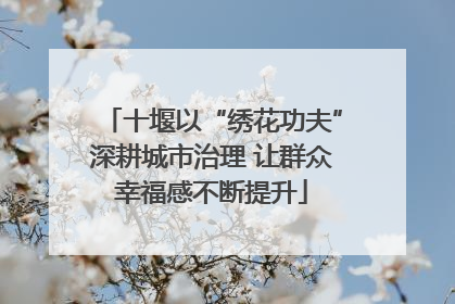 十堰以“绣花功夫”深耕城市治理 让群众幸福感不断提升