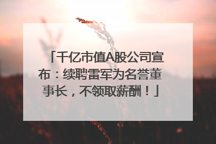 千亿市值A股公司宣布：续聘雷军为名誉董事长，不领取薪酬！