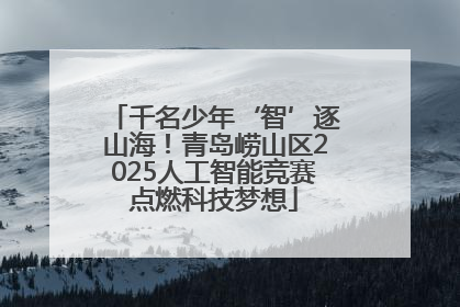 千名少年‘智’逐山海！青岛崂山区2025人工智能竞赛点燃科技梦想
