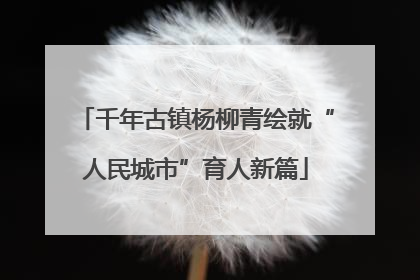 千年古镇杨柳青绘就“人民城市”育人新篇