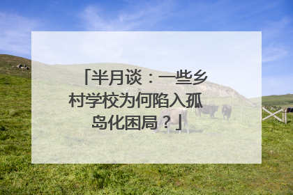 半月谈：一些乡村学校为何陷入孤岛化困局？