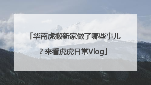 华南虎搬新家做了哪些事儿？来看虎虎日常Vlog