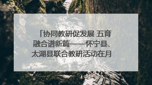 协同教研促发展 五育融合谱新篇——怀宁县、太湖县联合教研活动在月山镇中心学校成功举办