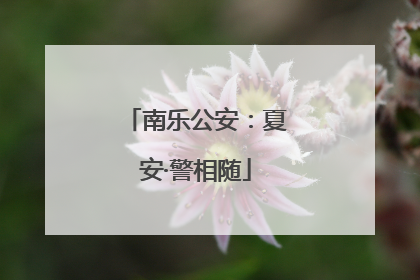 南乐公安：夏安·警相随