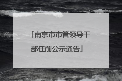 南京市市管领导干部任前公示通告