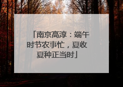 南京高淳：端午时节农事忙，夏收夏种正当时