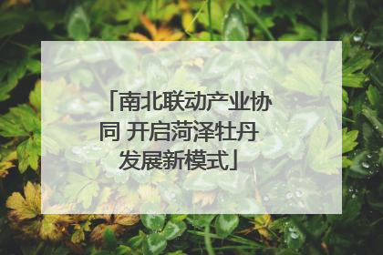 南北联动产业协同 开启菏泽牡丹发展新模式