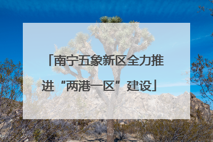 南宁五象新区全力推进“两港一区”建设