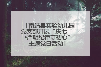 南靖县实验幼儿园党支部开展“庆七一•严明纪律守初心”主题党日活动